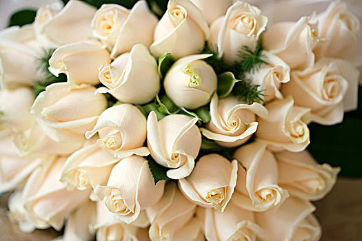 新娘手花,白色,玫瑰