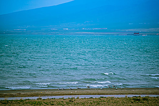 青海湖