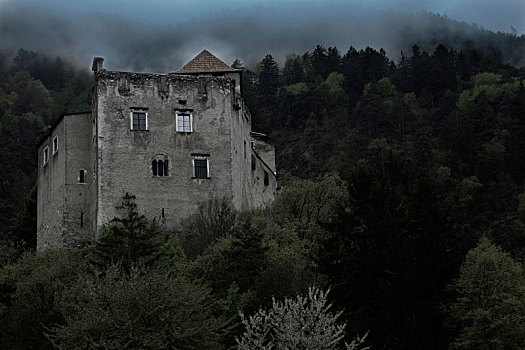 城堡,暗色,山林