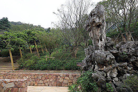 南京汤山猿人洞景观