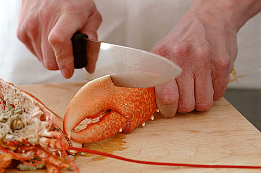 缝隙,虾螯