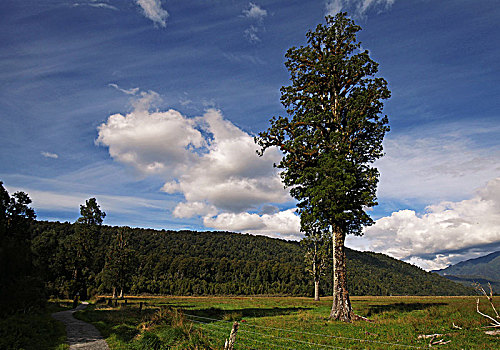 马瑟森湖lake,matheson