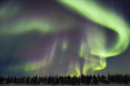 北极光,瓦普斯克国家公园,曼尼托巴,加拿大