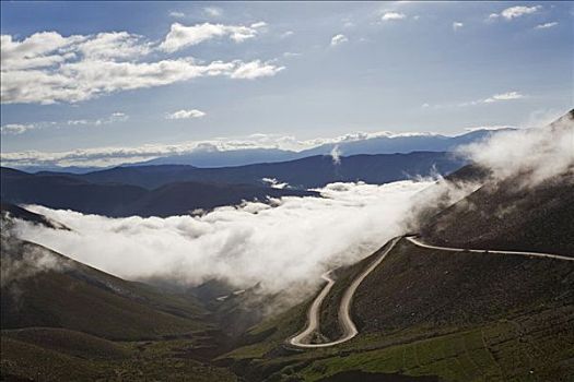 道路,云,雾,方向,阿根廷,南美