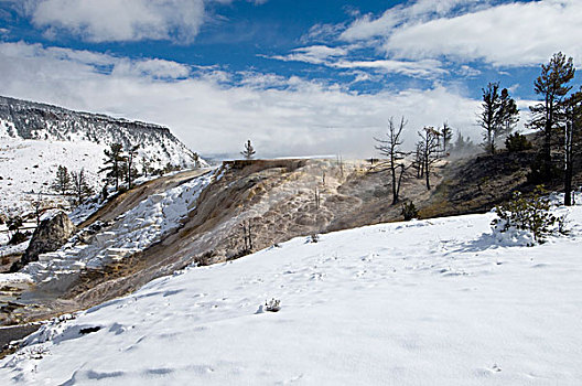 猛玛温泉,雪,黄石国家公园,怀俄明,美国