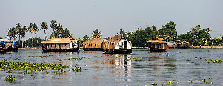 船屋,死水,靠近,海岸,喀拉拉,印度,亚洲