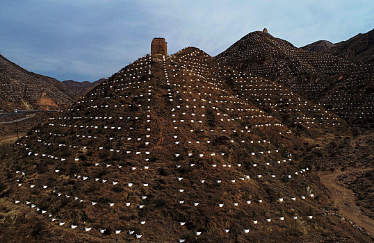 山上,植树,鱼鳞坑