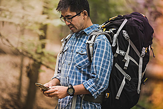 远足,背包,看,智能手机