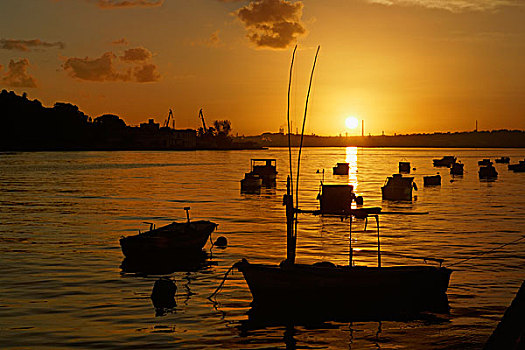 船,剪影,日出,哈瓦那,港口,古巴