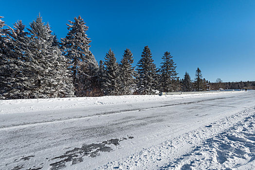 冬季雪后的树林和公路