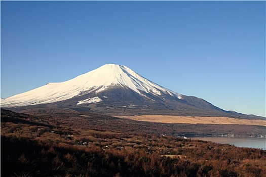 山,富士山,湖,日本