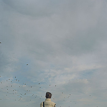 背影,风景,女人,黄色,背心,看,成群,鸟,云,灰色,蓝色,天空,北方,海洋,海岸,德国,2003年