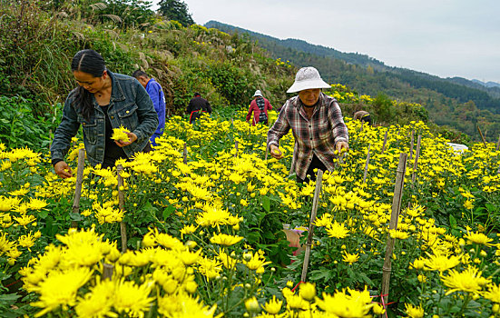 保温材料
