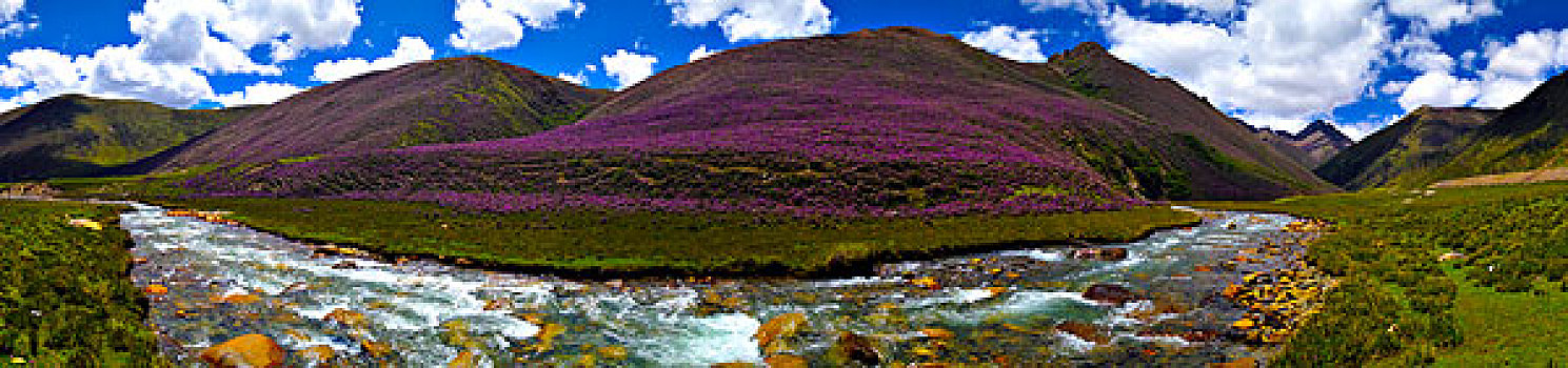 雅鲁藏布江自然保护区