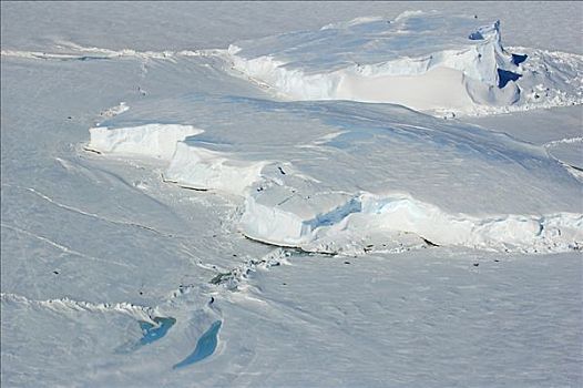 冰原,帝企鹅,南极
