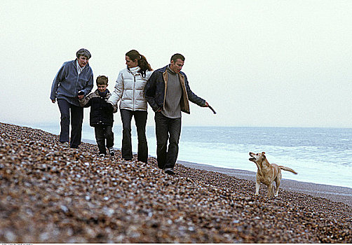 家庭,走,海滩,狗,英国