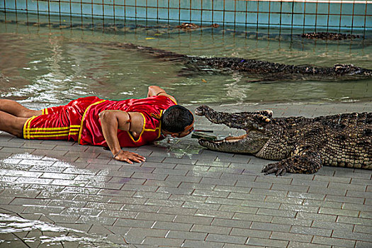 泰国芭堤雅百万年化石公园鳄鱼潭表演
