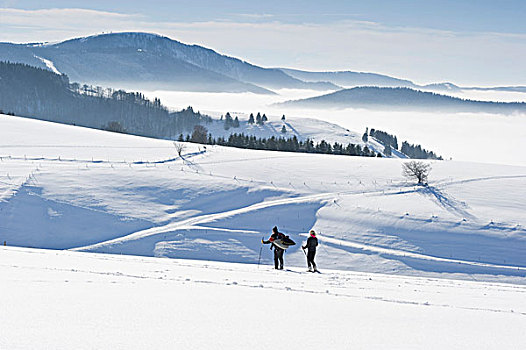 雪鞋,远足者,走,山,靠近,布赖施高,黑色,树林,山脉,巴登符腾堡,德国,欧洲