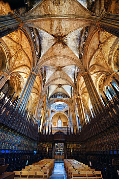 大教堂,圣玛丽亚大教堂,特写,巴塞罗那,西班牙