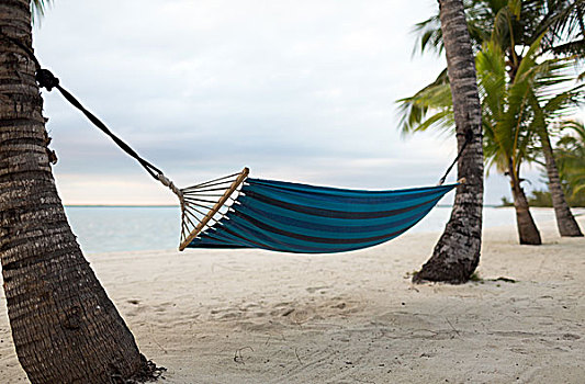 海滩,夏天,休闲,概念,蓝色,吊床,热带沙滩