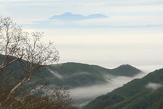 岛屿