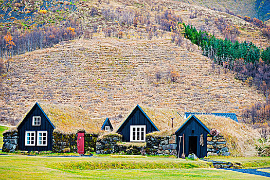 欧洲,冰岛,博物馆,草皮,屋顶,房子