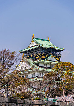 日本东京新宿代代木公园樱花盛开