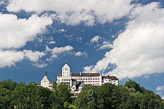城堡,齐姆高,区域,巴伐利亚,德国,欧洲