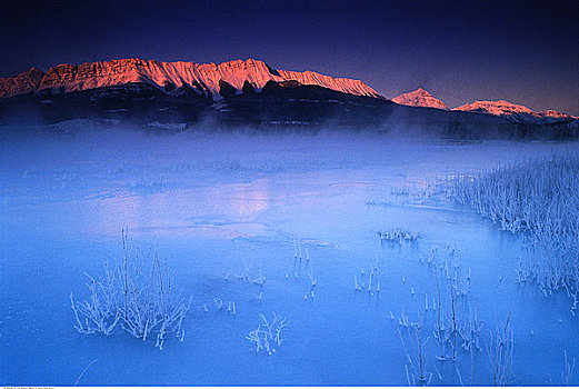 黎明,碧玉国家公园,艾伯塔省,加拿大