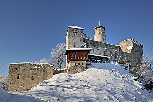 城堡,遗址,奥地利,靠近,下奥地利州,欧洲