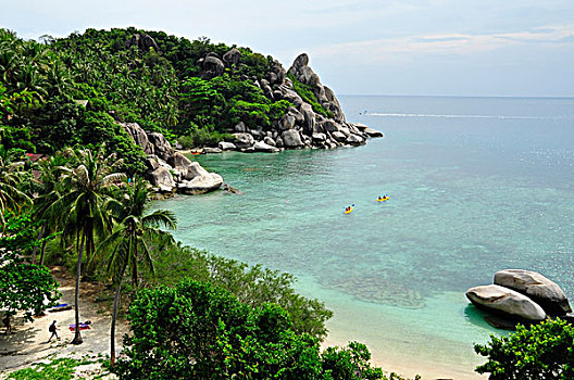 泰国,景色,自由,海滩,湾,龟岛,岛屿
