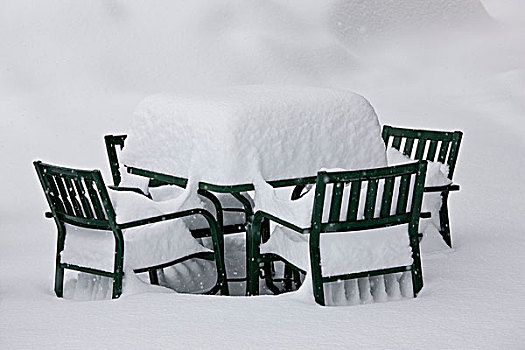 积雪,花园椅,国家公园,意大利