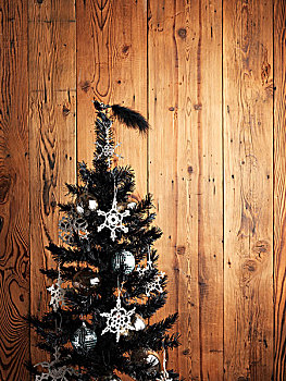 圣诞树,木护墙板