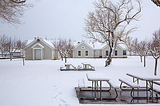 内华达,美国,第一,雪,公园,遮盖,白色