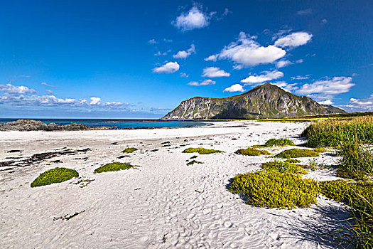 海滩,靠近,罗弗敦群岛,诺尔兰郡,挪威,欧洲
