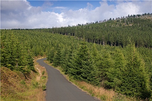 风景,山林,道路