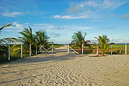 brazil,pernambuco,ilha,de,itamaraca,sand,yard,towards,the,ocean