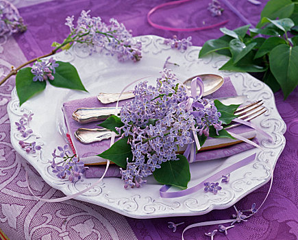 丁香花,白色背景,浮雕,盘子,餐巾,餐具,紫色,桌布