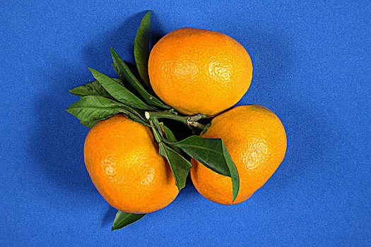 三个橘子