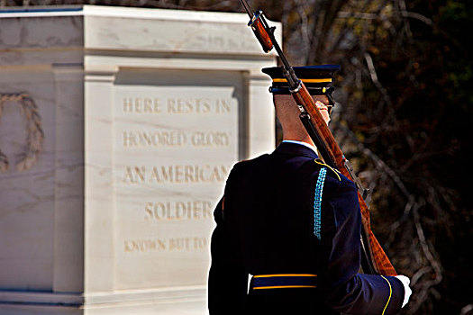 仪仗兵,墓地,未知,军人,阿灵顿国家公墓,靠近,华盛顿特区,美国