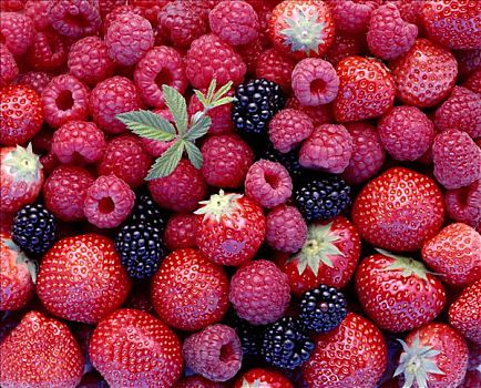 树莓,草莓,黑莓