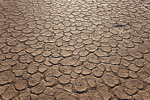 干燥,粘土,死亡谷,纳米布沙漠,纳米比亚