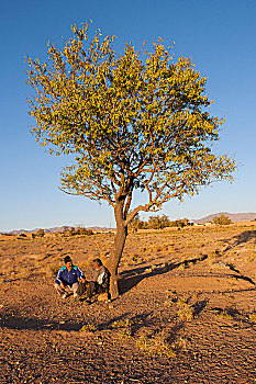 两个男人,交谈,脚,树,乡村,伊朗
