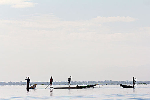 剪影,渔船,排列,茵莱湖,缅甸