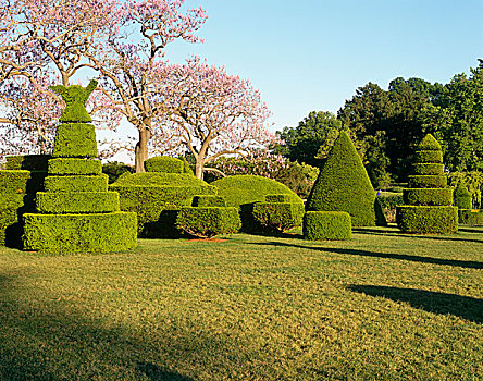 绿雕塑,灌木,树,花园