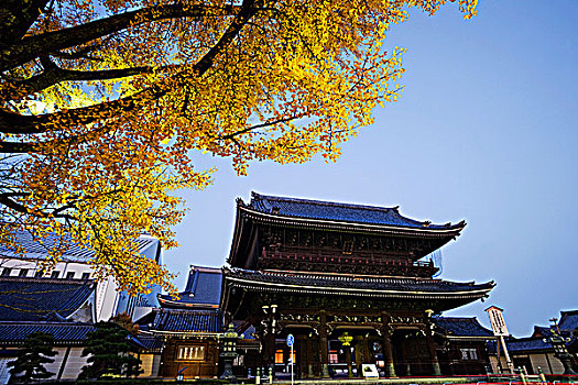 庙宇,入口,京都,日本