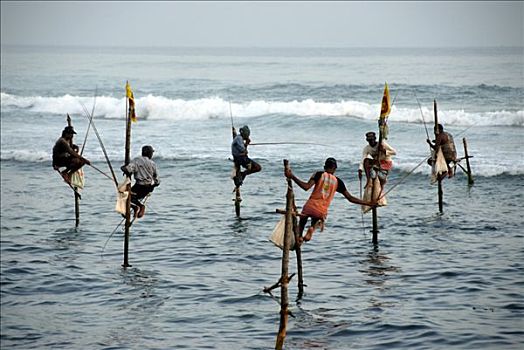 捕鱼者,捕鱼,浅水,印度洋,斯里兰卡,南亚,亚洲