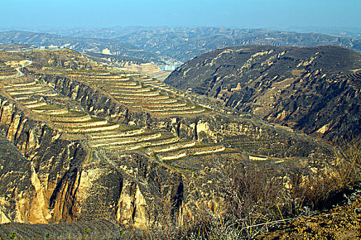 黄土高原