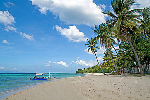 海滩,靠近,宿务岛,菲律宾,印度洋,区域,亚洲