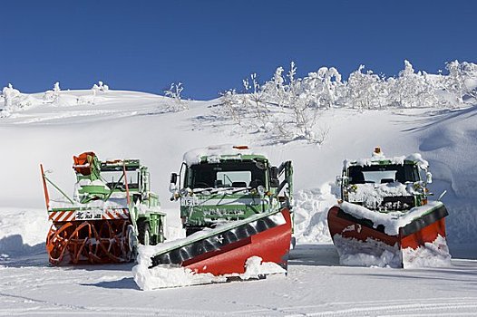 雪,汽车